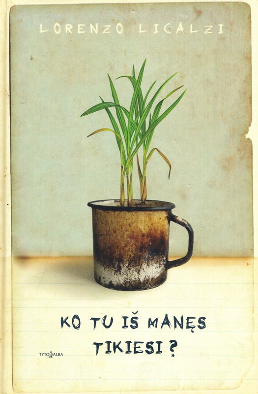 Ko tu iš manęs tikiesi?