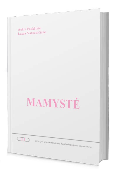 Mamystė