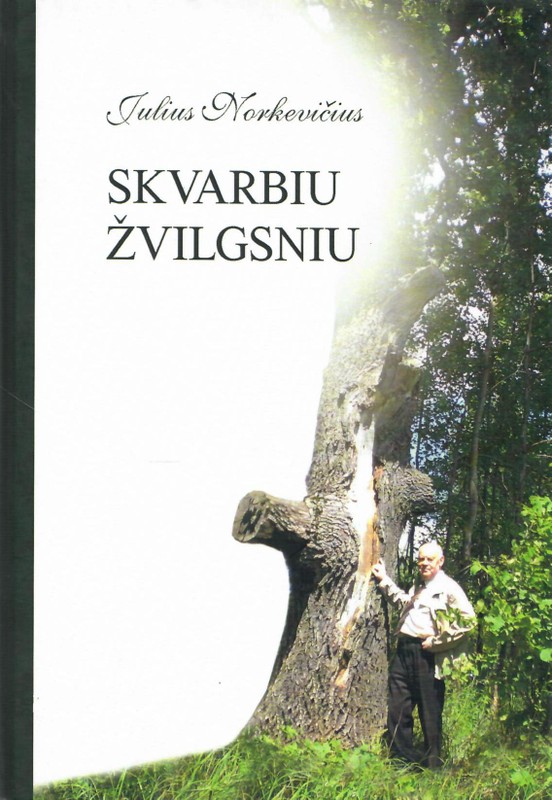 Skvarbiu žvilgsniu