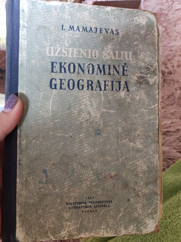 Užsienio šalių ekonominė geografija