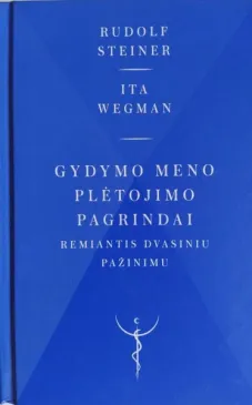 Gydymo meno plėtojimo pagrindai