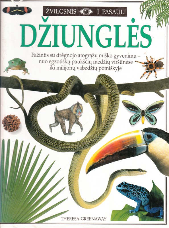 Džiunglės