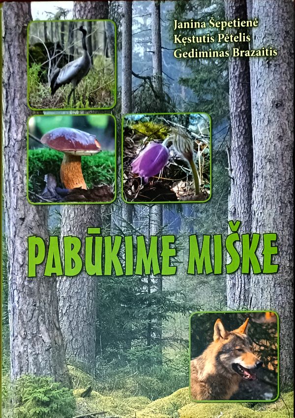 Pabūkime miške