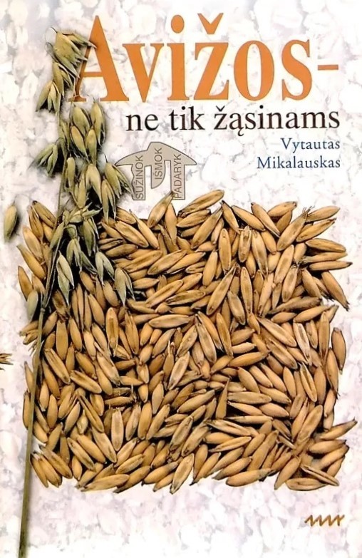 Avižos – ne tik žąsinams