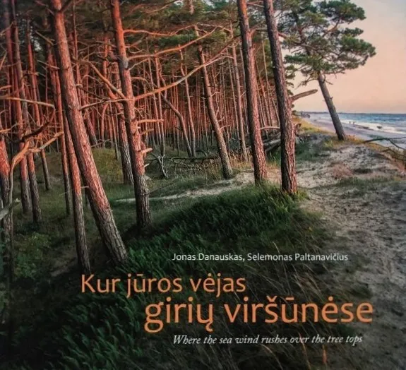 Kur jūros vėjas girių viršūnėse