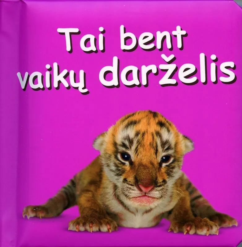 Tai bent vaikų darželis