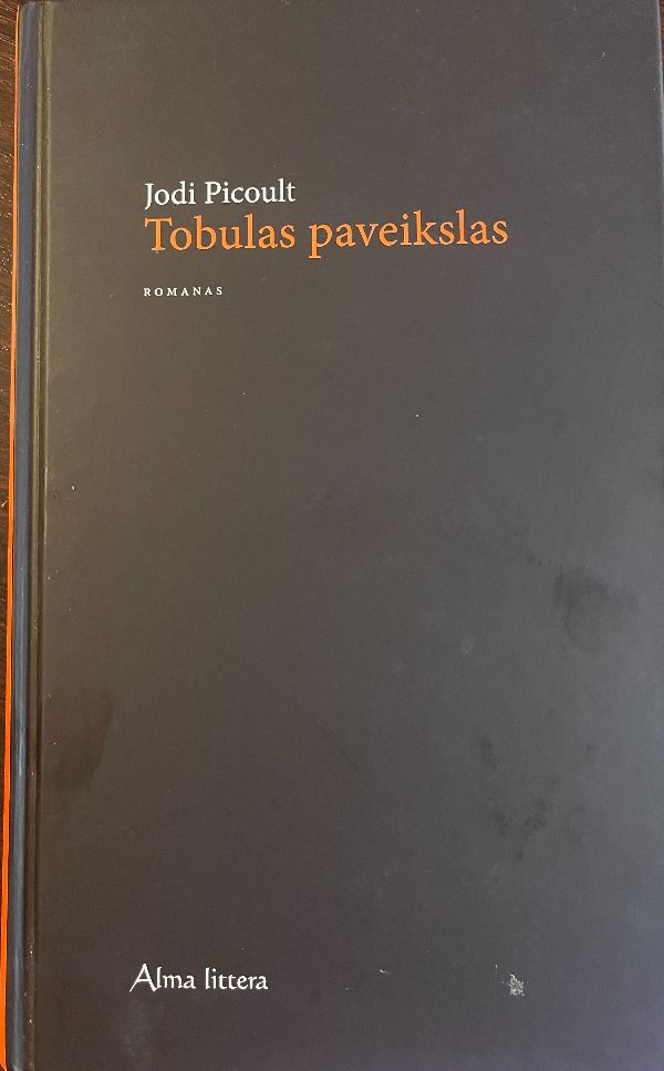 Tobulas paveikslas (2009)