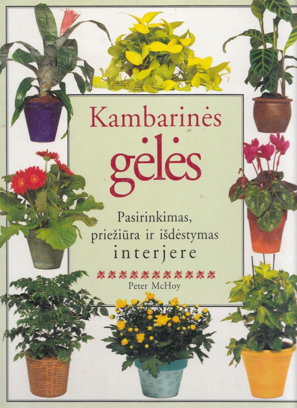 Kambarinės gėlės (1997)