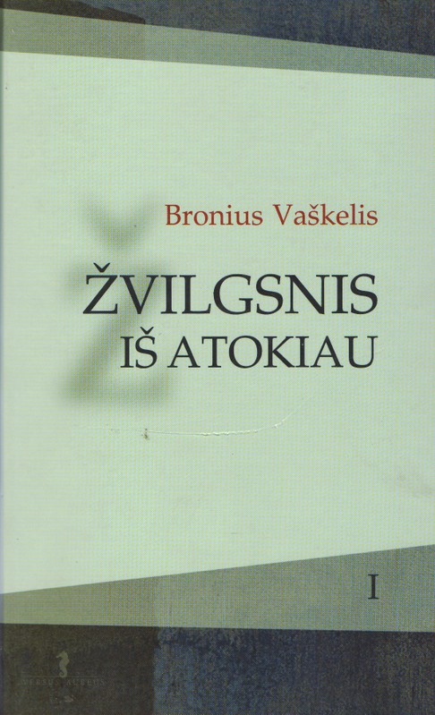 Žvilgsnis iš atokiau 1 dalis