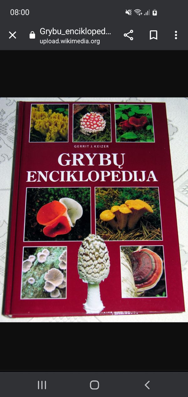 Grybų enciklopedija