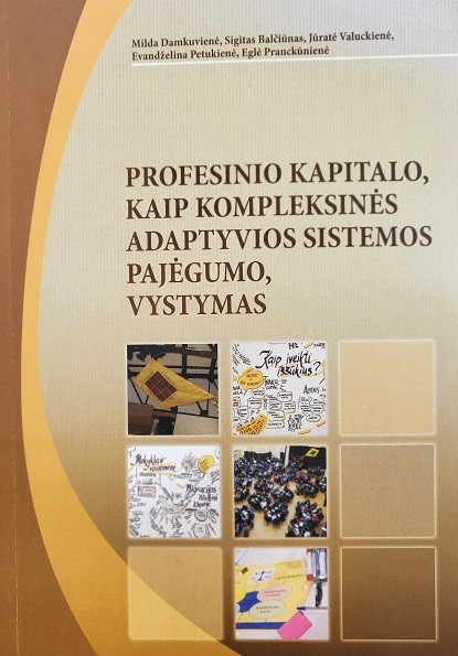 Profesinio kapitalo, kaip kompleksinės adaptyvios sistemos pajėgumo, vystymas