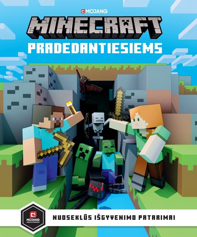 Minecraft pradedantiesiems