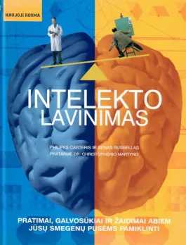 Intelekto lavinimas