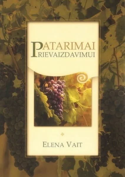 Patarimai prievaizdavimui