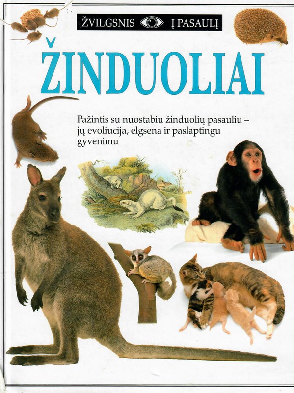 Žvilgsnis į pasaulį. Žinduoliai