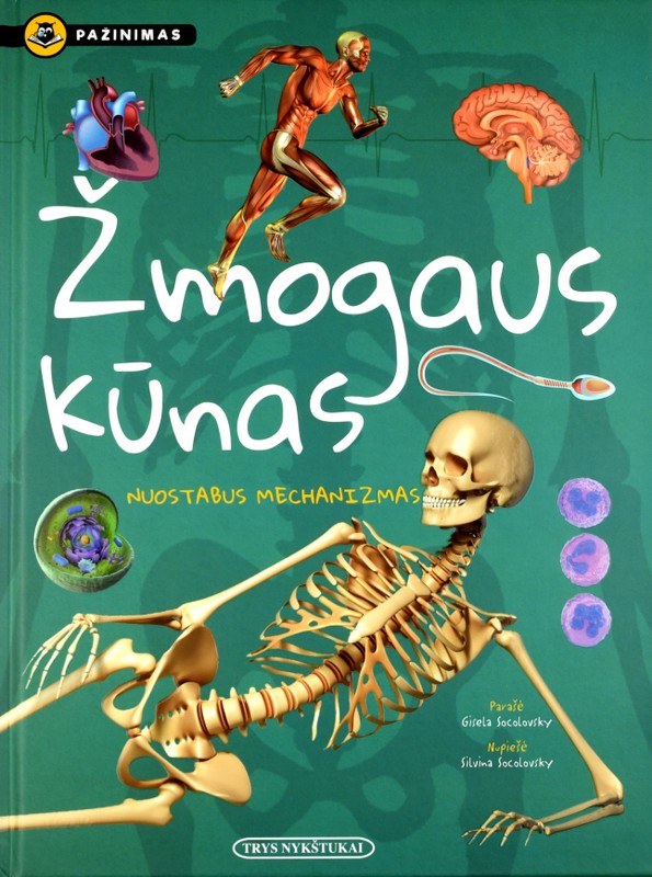 ŽMOGAUS KŪNAS