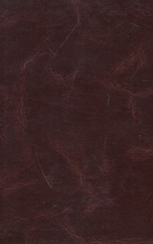Antroji lytis (1996)