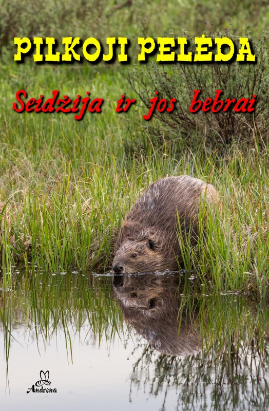 Seidžija ir jos bebrai (2021)