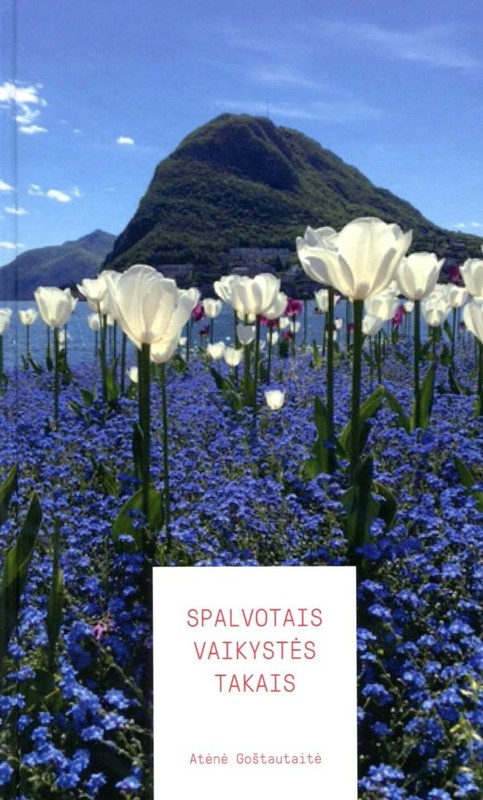 Spalvotais vaikystės takais