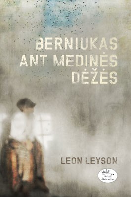 Berniukas ant medinės dėžės