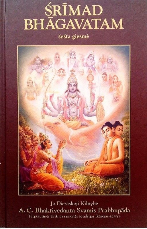 Šrimad Bhagavatam. Šešta giesmė (Žmonijai skirtos pareigos)