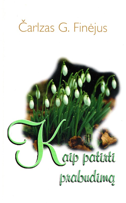 Kaip patirti prabudimą