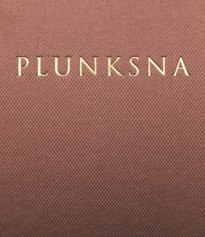 Plunksna