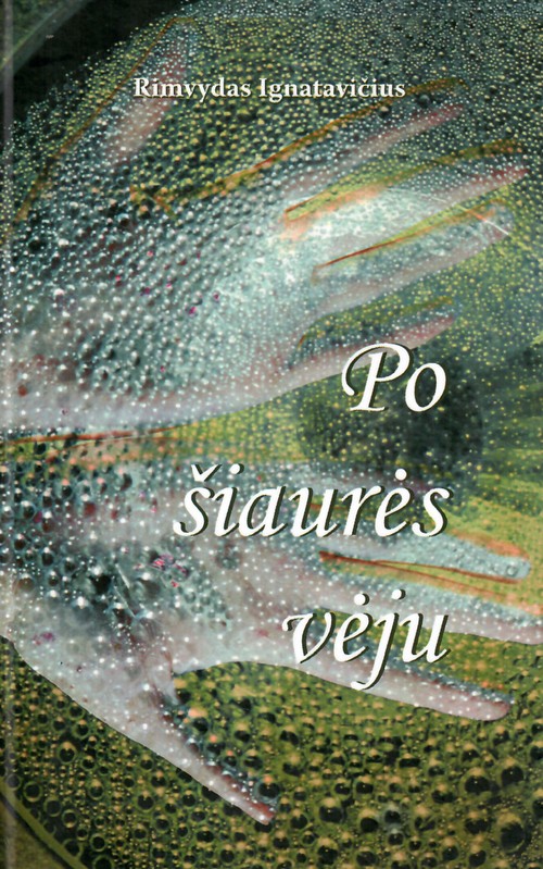 Po šiaurės vėju