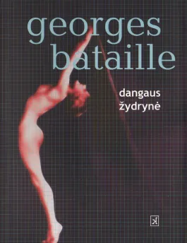 Dangaus žydrynė