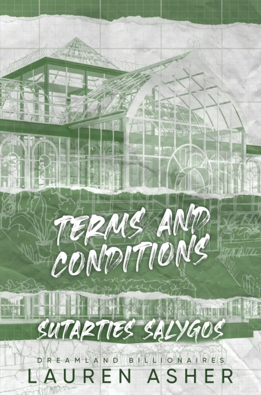Terms and Conditions. Sutarties sąlygos
