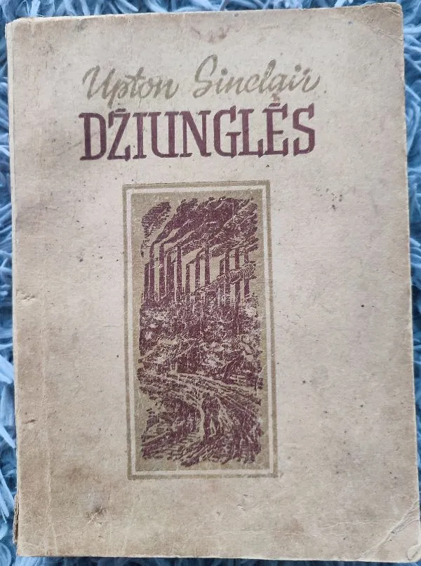 Džiunglės