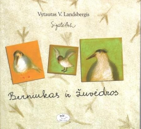 Berniukas ir žuvėdros (Sigutės Ach iliustracijos)