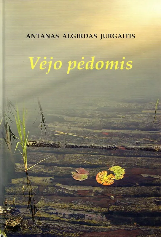 Vėjo pėdomis
