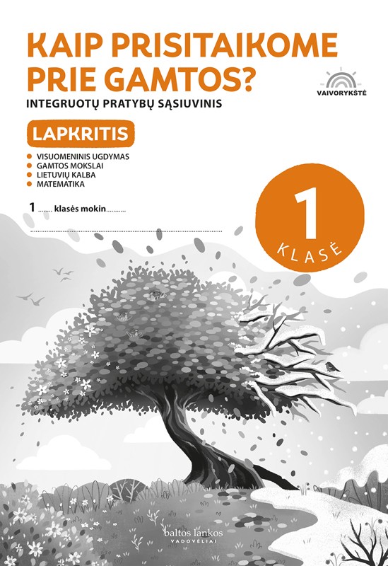 Vaivorykštė. Lapkritis. Pratybos 1 klasei