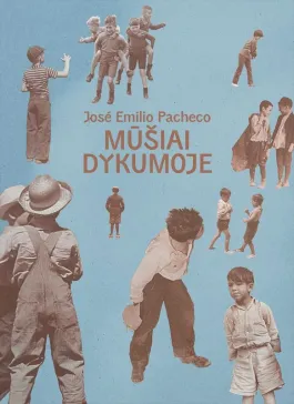 Mūšiai dykumoje