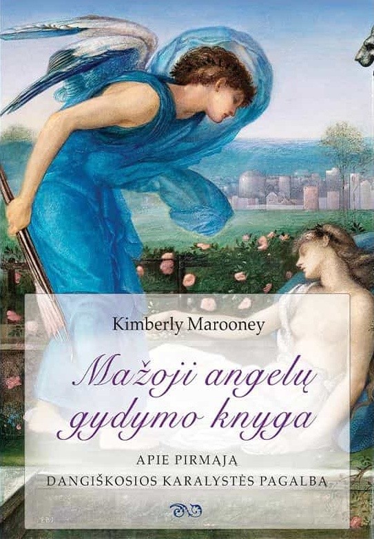 Mažoji angelų gydymo knyga. Apie pirmąją dangiškosios karalystės pagalbą
