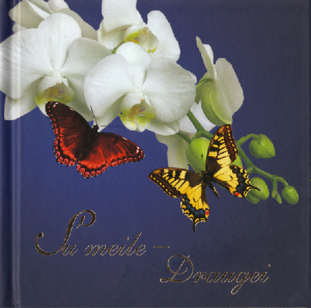 Su meile - Draugei