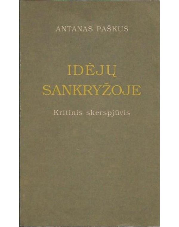 Idėjų sankryžoje: Kritinis skerspjūvis