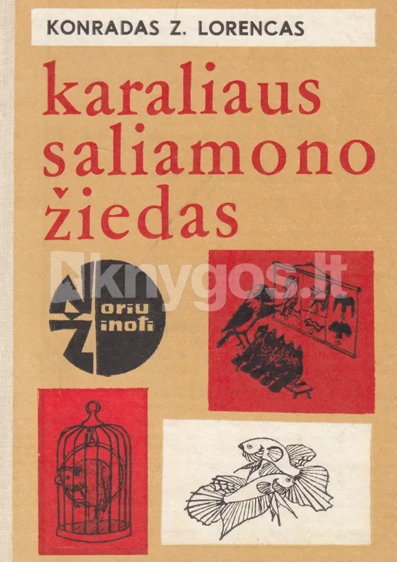 Karaliaus Saliamono žiedas