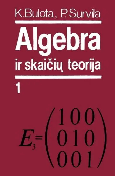 Algebra ir skaičių teorija