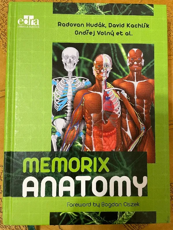 Memorix Anatomy
