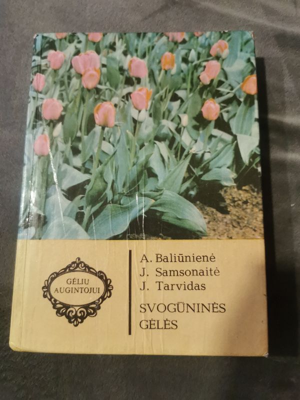 Svogūninės gėlės