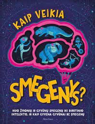 Kaip veikia smegenys?