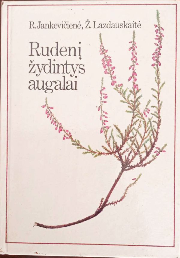 Rudenį žydintys augalai
