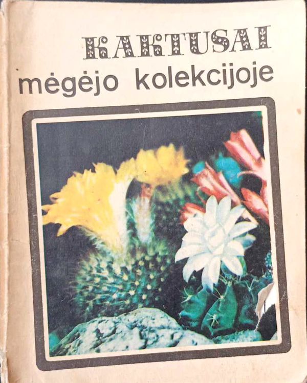 Kaktusai mėgėjo kolekcijoje