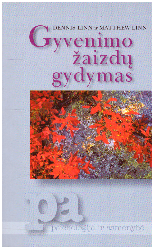 Gyvenimo žaizdų gydymas