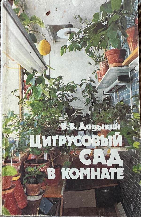 Цитрусовый сад в комнате