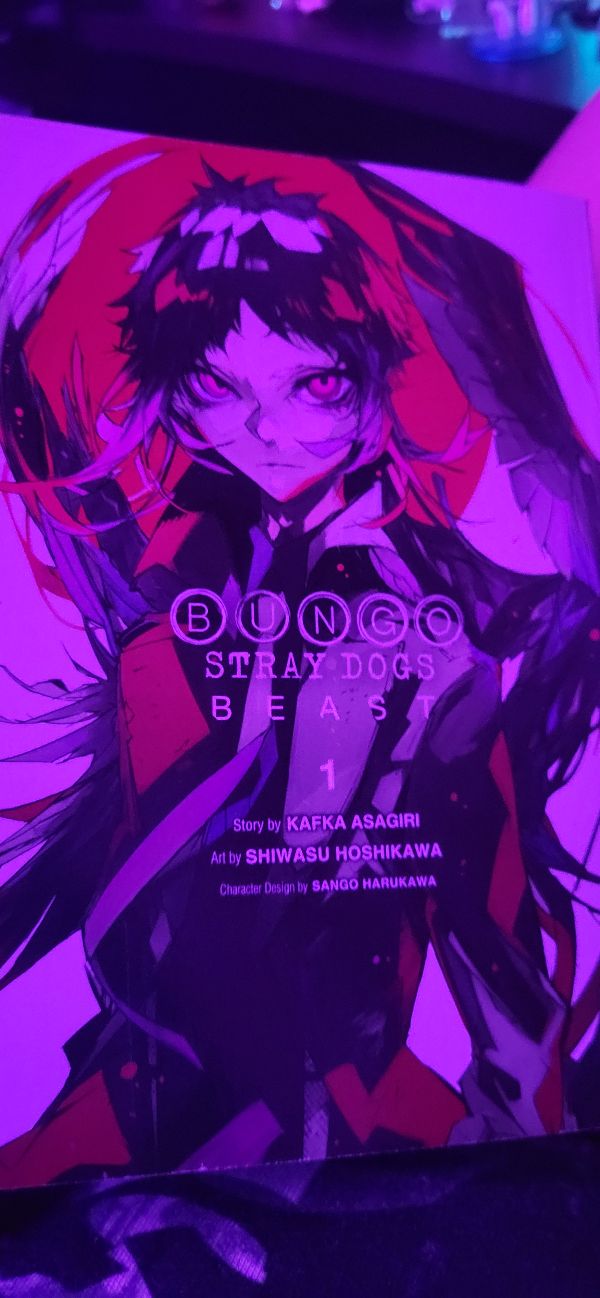 Bungo Stray Dogs: Beast vol. 1