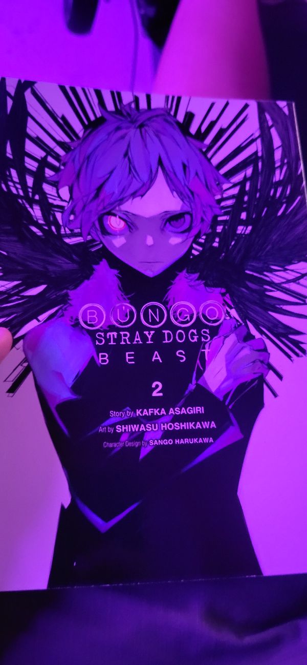Bungo Stray Dogs: Beast vol. 2