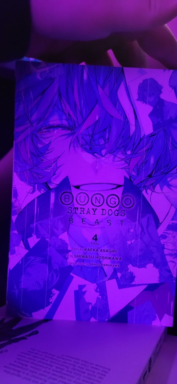 Bungo Stray Dogs: Beast vol. 4